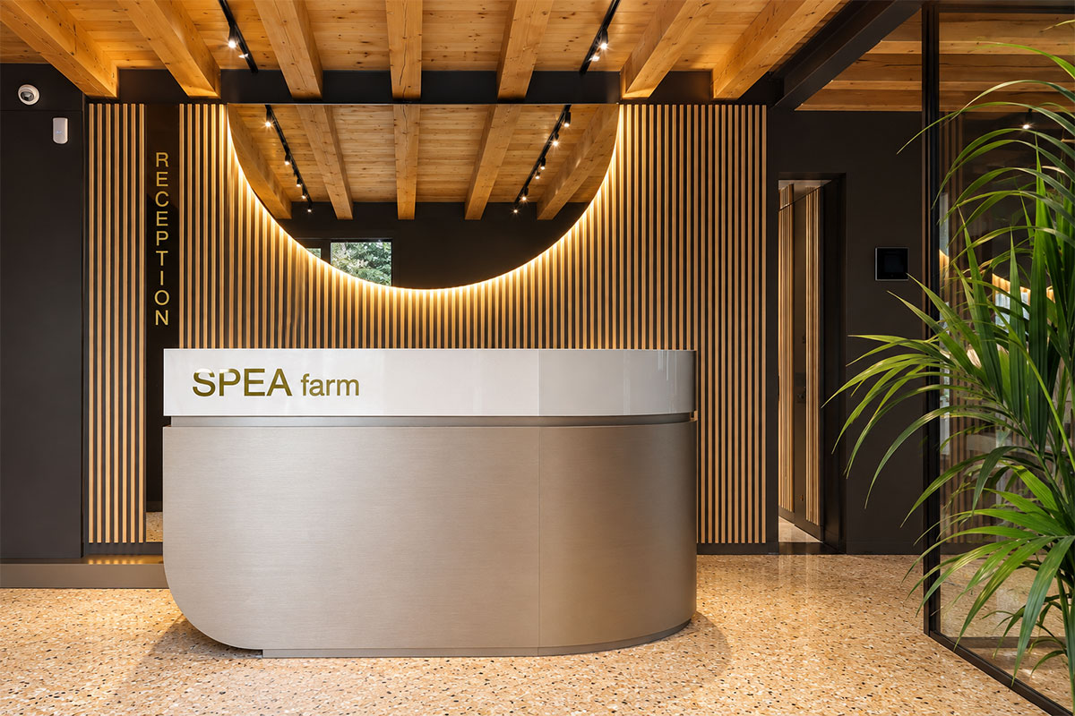 16-reception https://www.gruppo5.it/wp-content/uploads/2026/09/16-reception.jpg